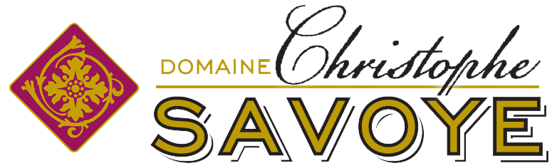 logo_domaine_christophe_savoye
